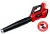 Einhell PROFESSIONAL GP-LB 36/210 Li E-Solo lombfújó